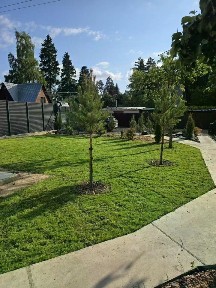 Продается 3-этажный дом, 240 м²