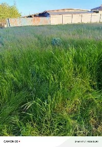 Продается участок, 6 сот.