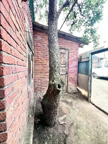 Сдается 1-этажный дом, 57 м²