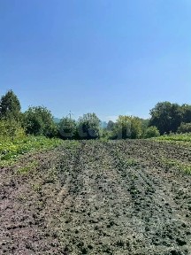 Продается участок, 20,5 сот.