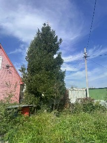 Продается 1-этажный дом, 20 м²