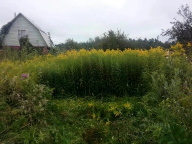 Продается участок, 5 сот.