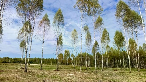 Продается участок, 8 сот.
