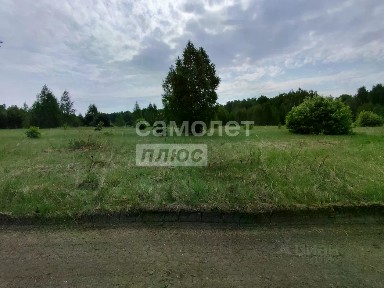 Продается участок, 81 га