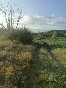 Продается участок, 11 сот.