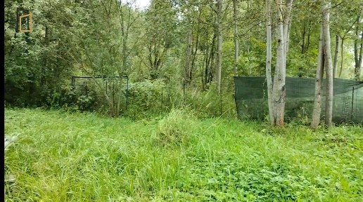 Продается участок, 15 сот.
