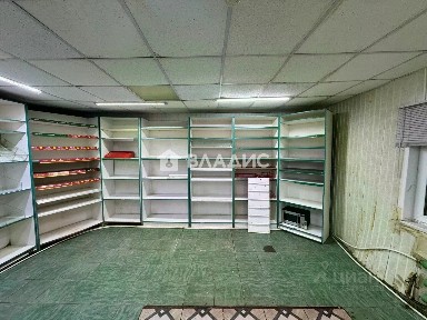 Пензенская область, Пензенский район, Старокаменский сельсовет, Старая Каменка село, ул. Молодежная, 17