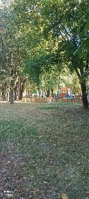 Сдается 2-комн. квартира, 40 м²