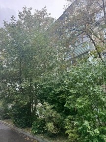 Продается 2-комн. квартира, 45 м²