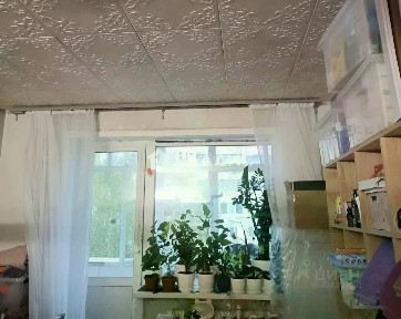 Московская область, Долгопрудный, Спортивная ул., 5