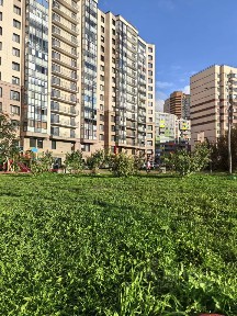 Сдается 1-комн. квартира, 46,6 м²