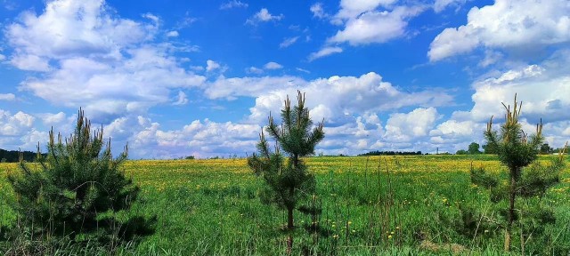 Продается участок, 6 сот.