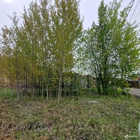 Продается участок, 6 сот.