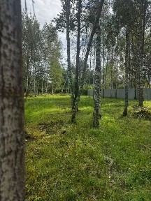 Продается участок, 12 сот.