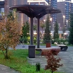 Сдается студия, 21 м²