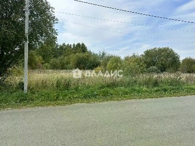 Владимирская область, Суздаль городской округ, Родник СНТ