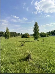 Продается участок, 48,4 сот.