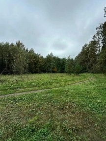 Продается участок, 115,54 сот.