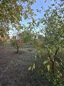 Продается участок, 6 сот.