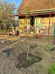 Продается 1-этажный дом, 26 м²