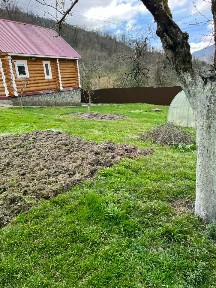 Краснодарский край, Сочи, р-н Адлерский, Эстосадок село, ул. Дубравная