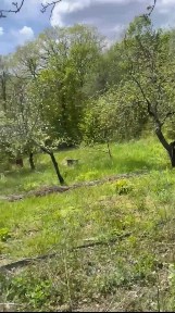 Краснодарский край, Геленджик городской округ, Строитель СТ, пер. Нижний, 6
