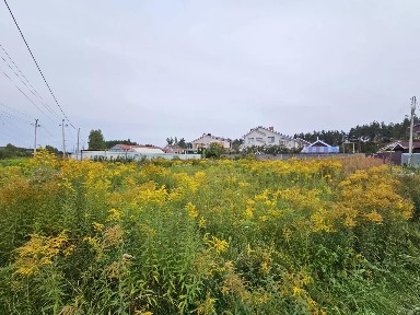 Продается участок, 10 сот.