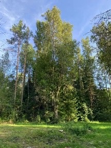 Продается участок, 30 сот.