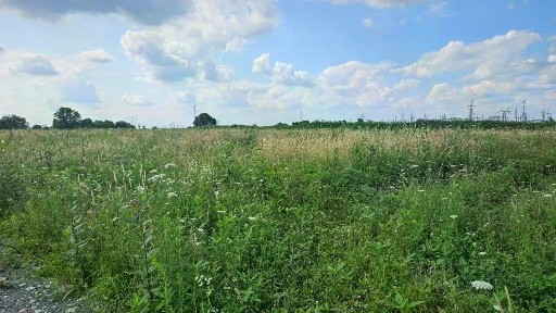 Продается участок, 6 сот.