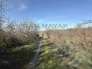 Адыгея респ., Майкоп, Строитель СНТ, ул. Солнечная, 16