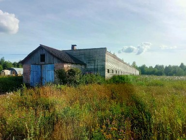 Костромская область, Костромской муниципальный округ, Сухоногово деревня