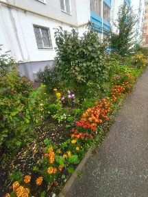 Продается 2-комн. квартира, 52,2 м²