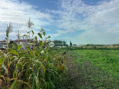 Татарстан респ., Пестречинский район, Шали село, ул. Хади Такташа