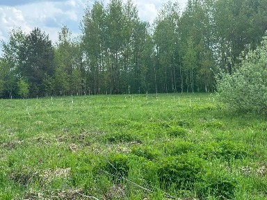 Продается участок, 10 сот.