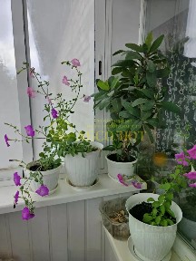 Продается 2-комн. квартира, 43 м²