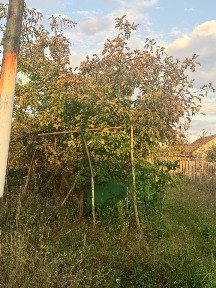 Продается 1-этажный дом, 10 м²