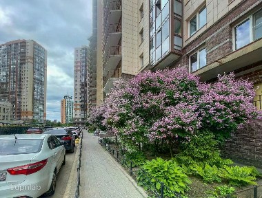 Сдается 1-комн. квартира, 50 м²