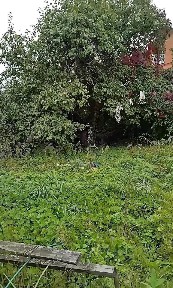Продается 1-этажный дом, 52 м²