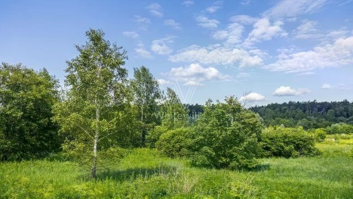 Продается участок, 285 сот.