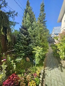 Продается 2-этажный дом, 237 м²
