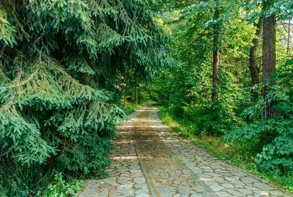 Продается участок, 150 сот.
