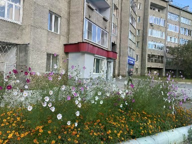Сдается помещение свободного назначения, 40,6 м²