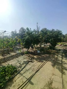 Продается 1-этажный дом, 15 м²