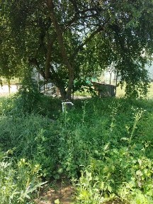 Продается участок, 11 сот.