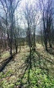 Продается участок, 9 сот.