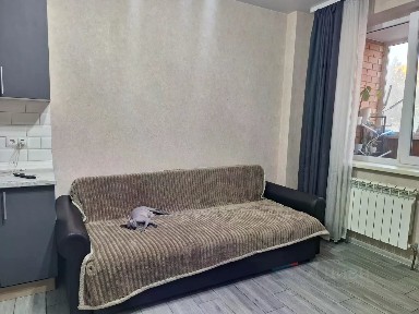 Продается студия, 27,2 м²