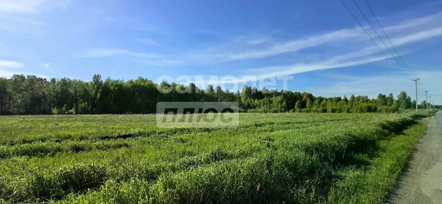 Продается участок, 909 сот.
