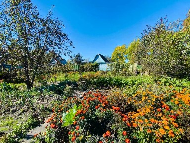 Продается 1-этажный дом, 25 м²