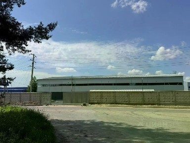 Ленинградская область, Всеволожский район, Новое Девяткино деревня, Производственная территория, ул. Промышленная, 26