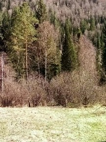 Продается участок, 120 сот.